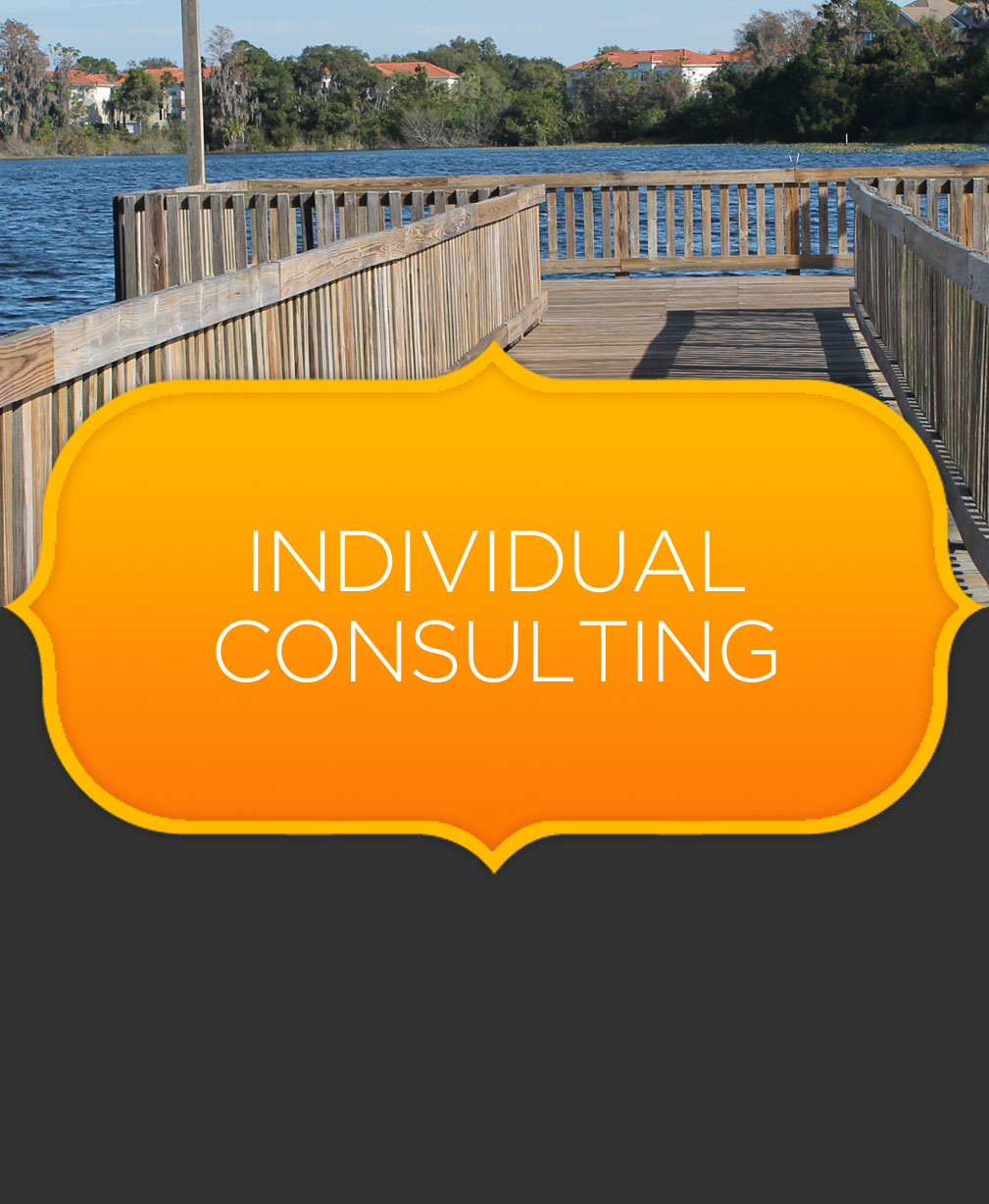 Individual Consulting